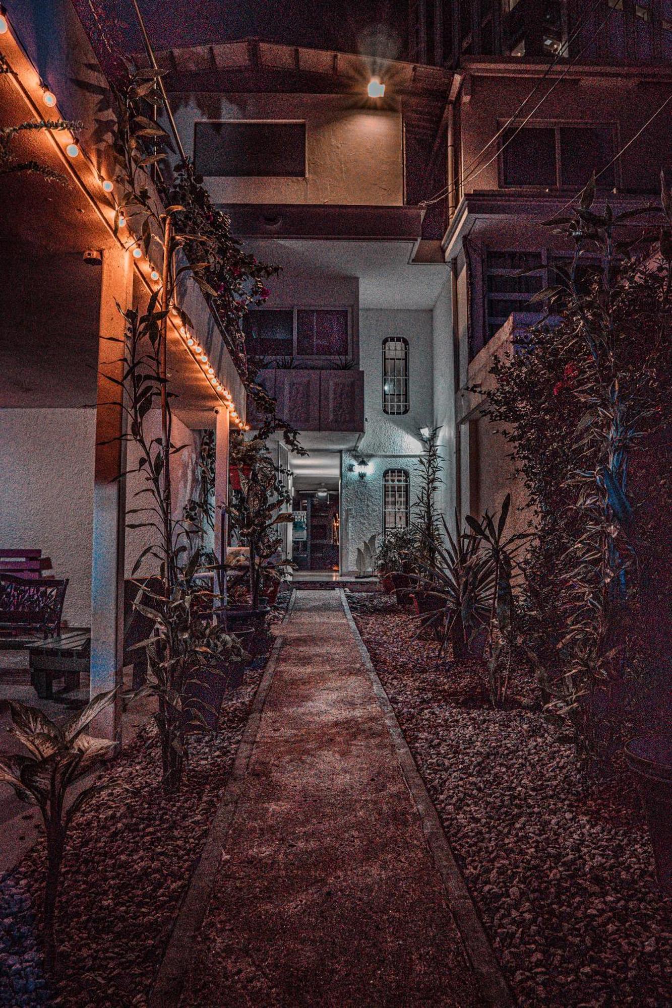 פנמה סיטי Hostal Loco Coco Loco מראה חיצוני תמונה