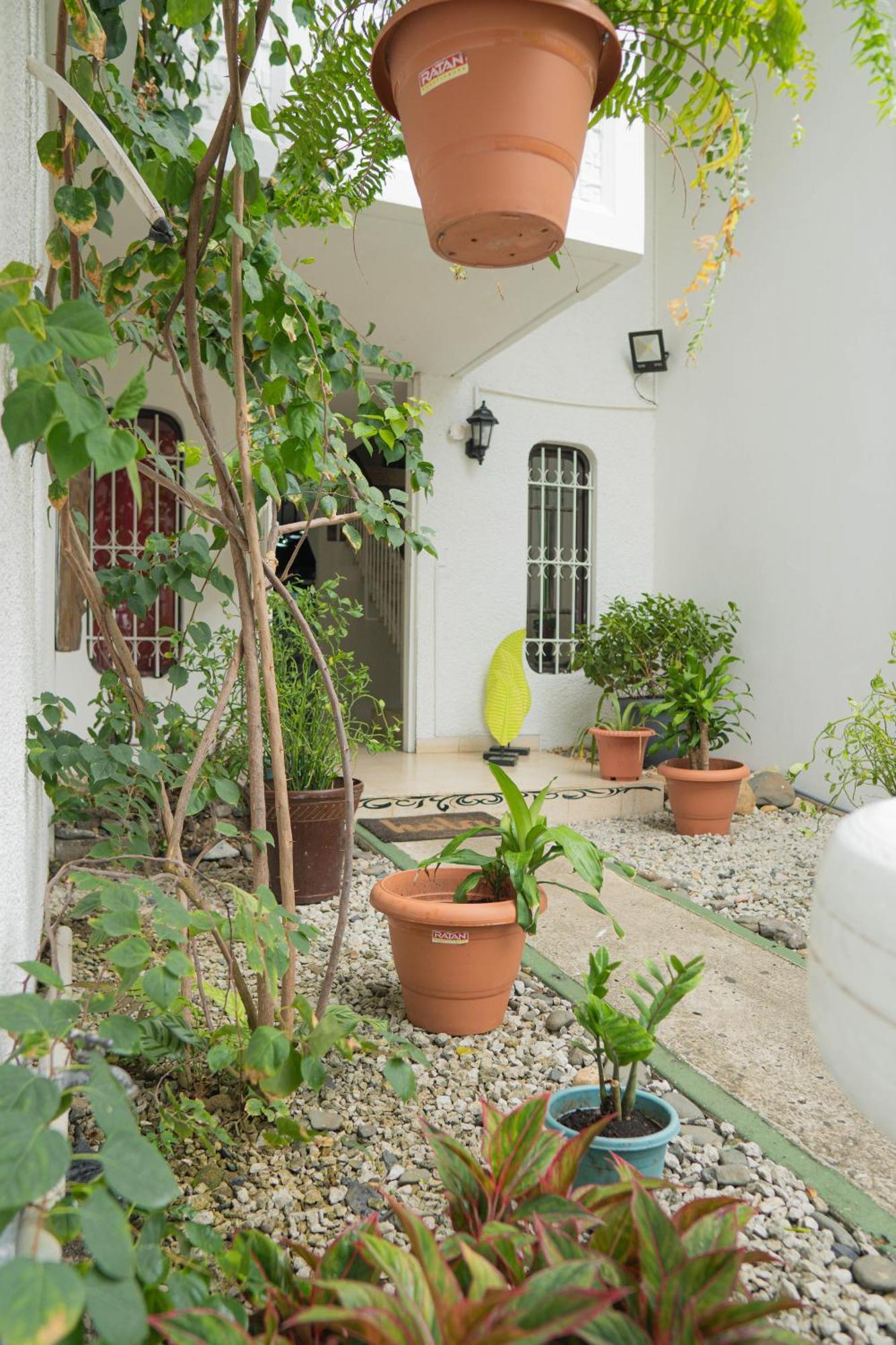 פנמה סיטי Hostal Loco Coco Loco מראה חיצוני תמונה